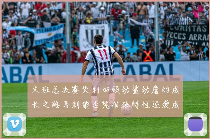 文班总决赛失利回顾幼鲨幼詹的成长之路马刺能否凭借独特性逆袭成功