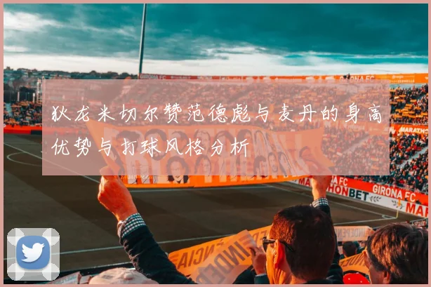 狄龙米切尔赞范德彪与麦丹的身高优势与打球风格分析